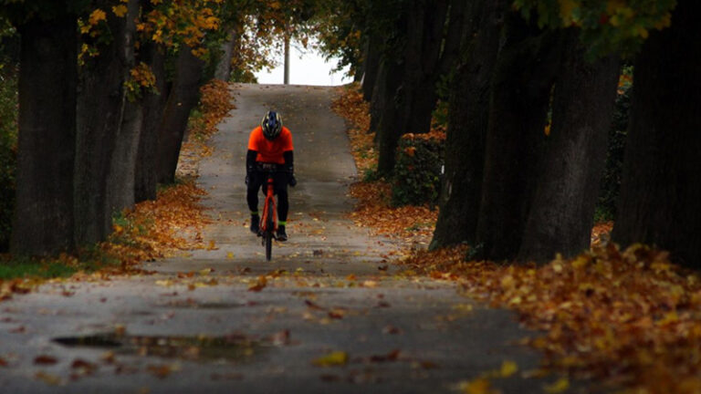 Pedal Power – The Unstoppable Growth of Cycling Pedal Power – The Unstoppable Growth of Cycling