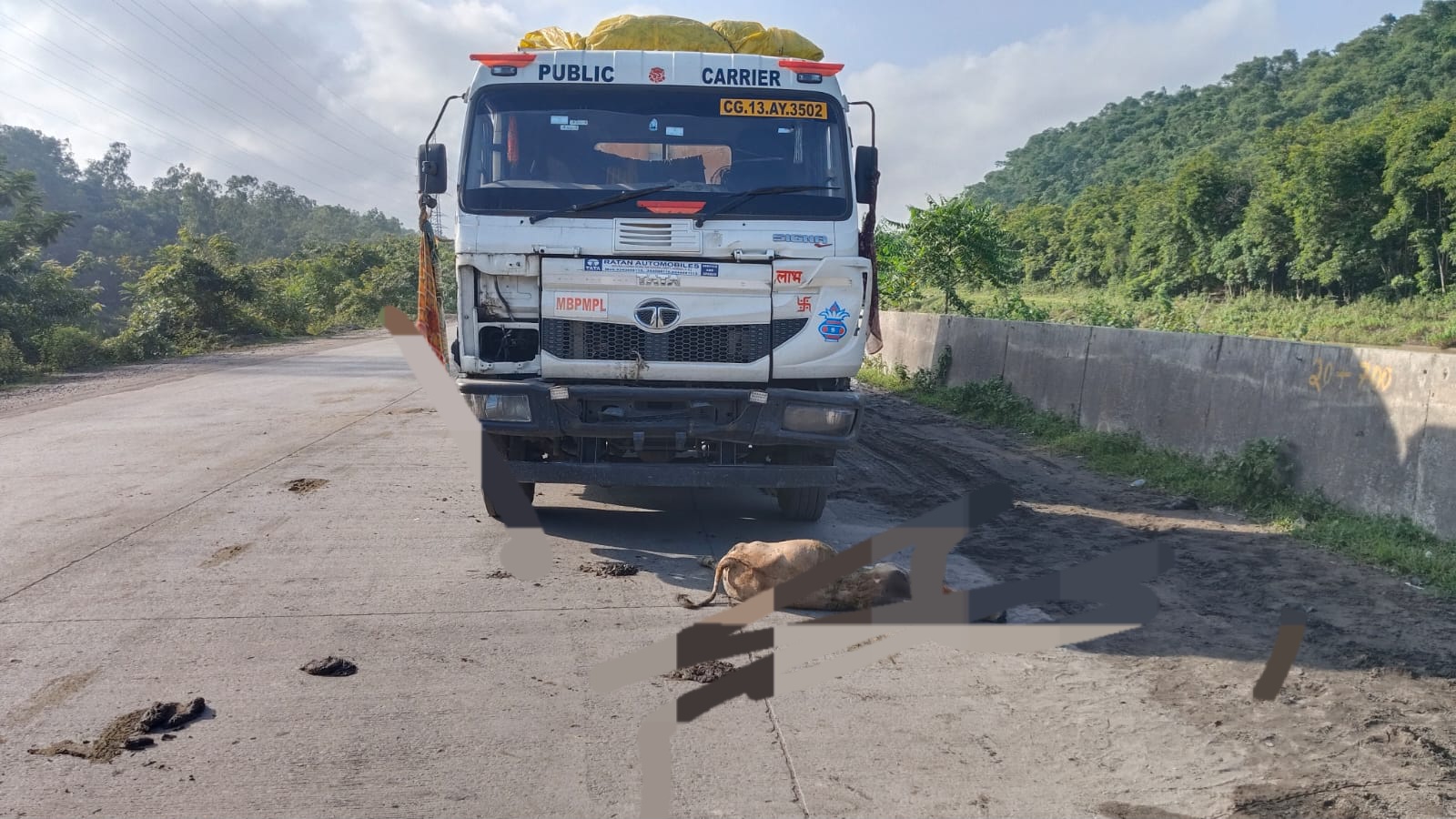 कोरबा न्यूज़ : दिन-दहाड़े ट्रेलर की चपेट में आई गाय की मौत, गुस्साए ग्रामीणों ने रोका भारी वाहन