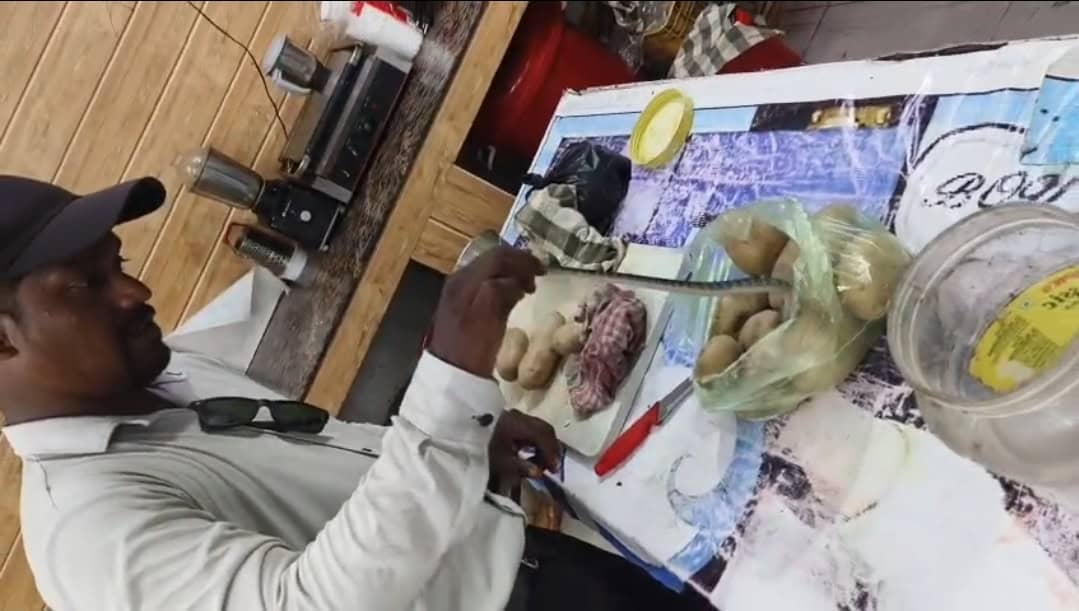 कैफे के किचन में आलू की बोरियों के बीच मिला जहरीला करैत, रेस्क्यू टीम ने किया सुरक्षित बाहर निकालकर जंगल में छोड़ा