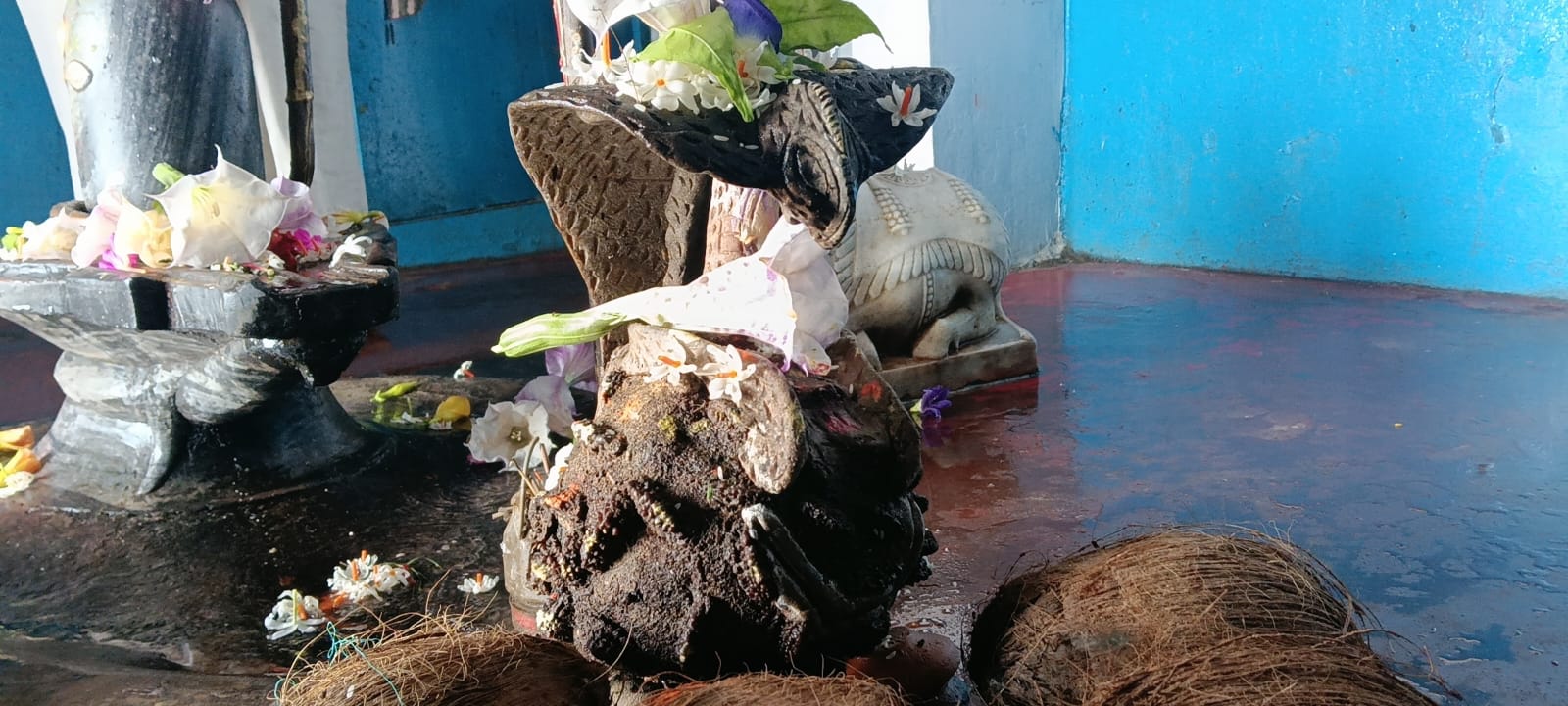 कोरबा ” धर्मपुर (गेवराबस्ती )तालाब में दिखा अद्भुत दृश्य — रुद्राक्ष पर नागजी और विराजमान शिवलिंग ने किया सबको मंत्रमुग्ध