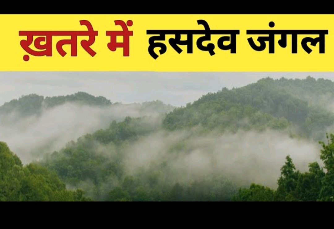 छत्तीसगढ़ में कोल प्रोजेक्ट को मंजूरी, हसदेव अरण्य में लाखों पेड़ों की कटाई का खतरा बढ़ा