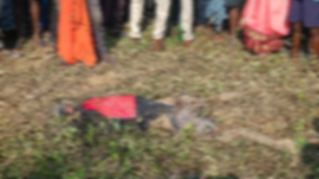 छत्तीसगढ़ में हाथी का आतंक: करतला वन परिक्षेत्र के बोतली गांव में दांतेल हाथी ने व्यक्ति को कुचलकर मार डाला