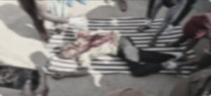 Screenshot_20260210_144538_InShot
