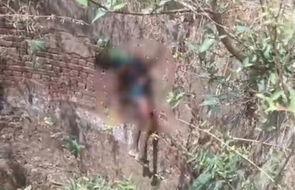 🔴 कोरबा में 7 साल के मासूम की हत्या का खुलासा: बुरी नीयत से ले गया युवक, पत्थर मारकर की हत्या, शव कुएं में फेंकाप