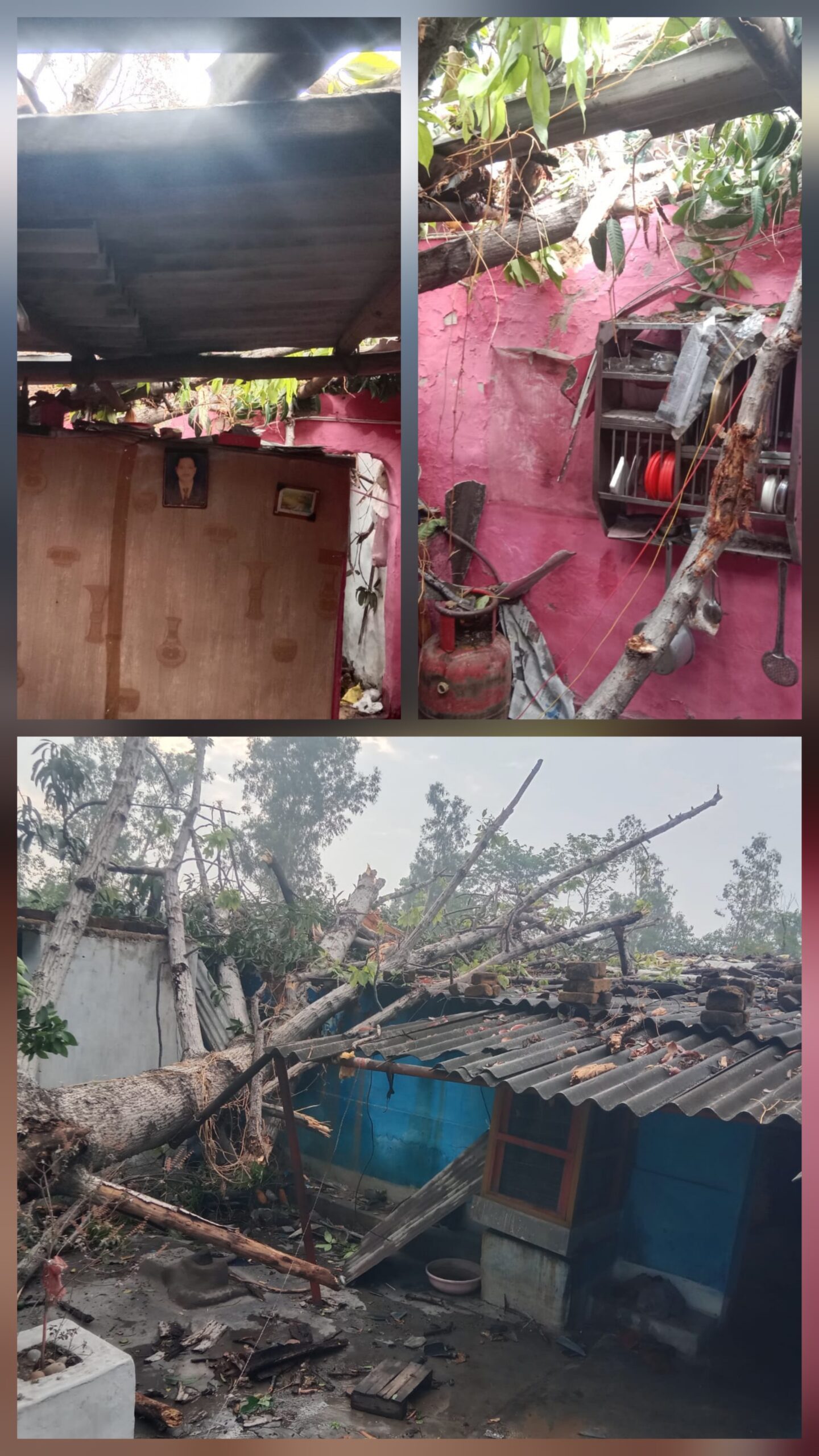 कुसमुंडा छठ घाट के पास आंधी-तूफान का कहर: विशाल सेमहर का पेड़ गिरने से तीन मकान क्षतिग्रस्त